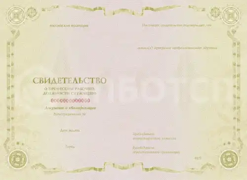 Секретарь-машинистка
